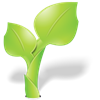 pic-5green.png